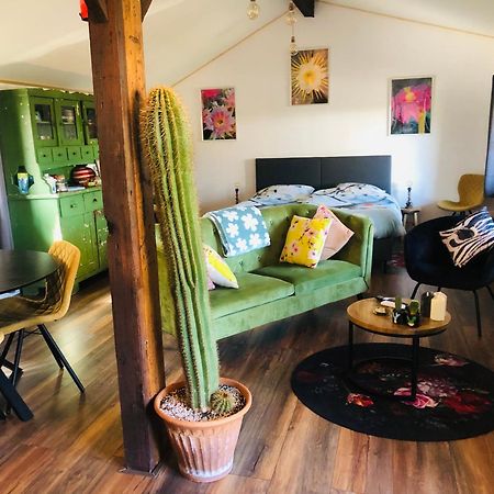 B &B Yuupke Maasbree Noord-Limburg Venlo Roermond Panzió Kültér fotó