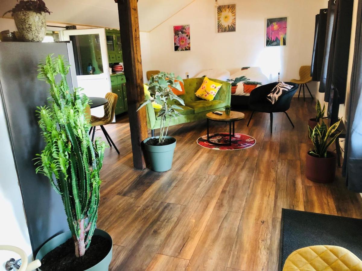 B &B Yuupke Maasbree Noord-Limburg Venlo Roermond Panzió Kültér fotó