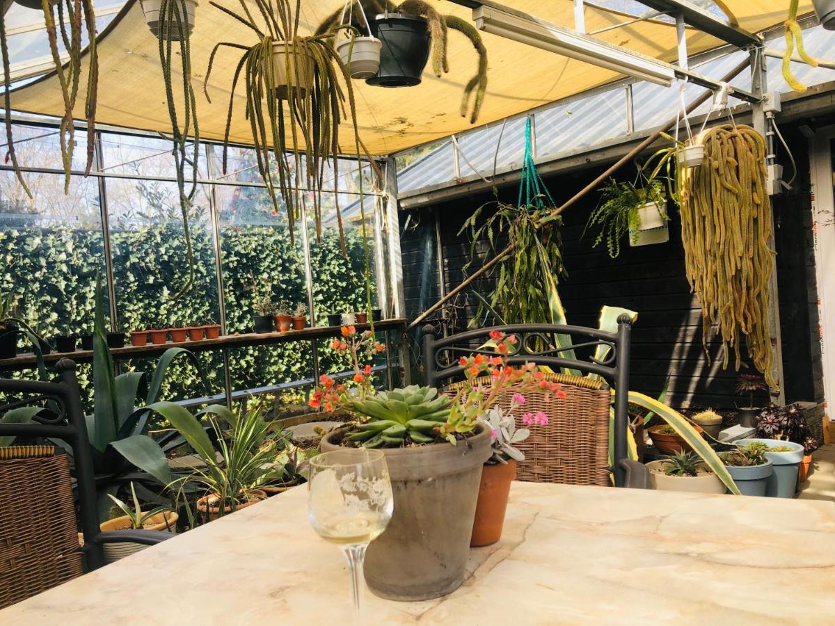 B &B Yuupke Maasbree Noord-Limburg Venlo Roermond Panzió Kültér fotó