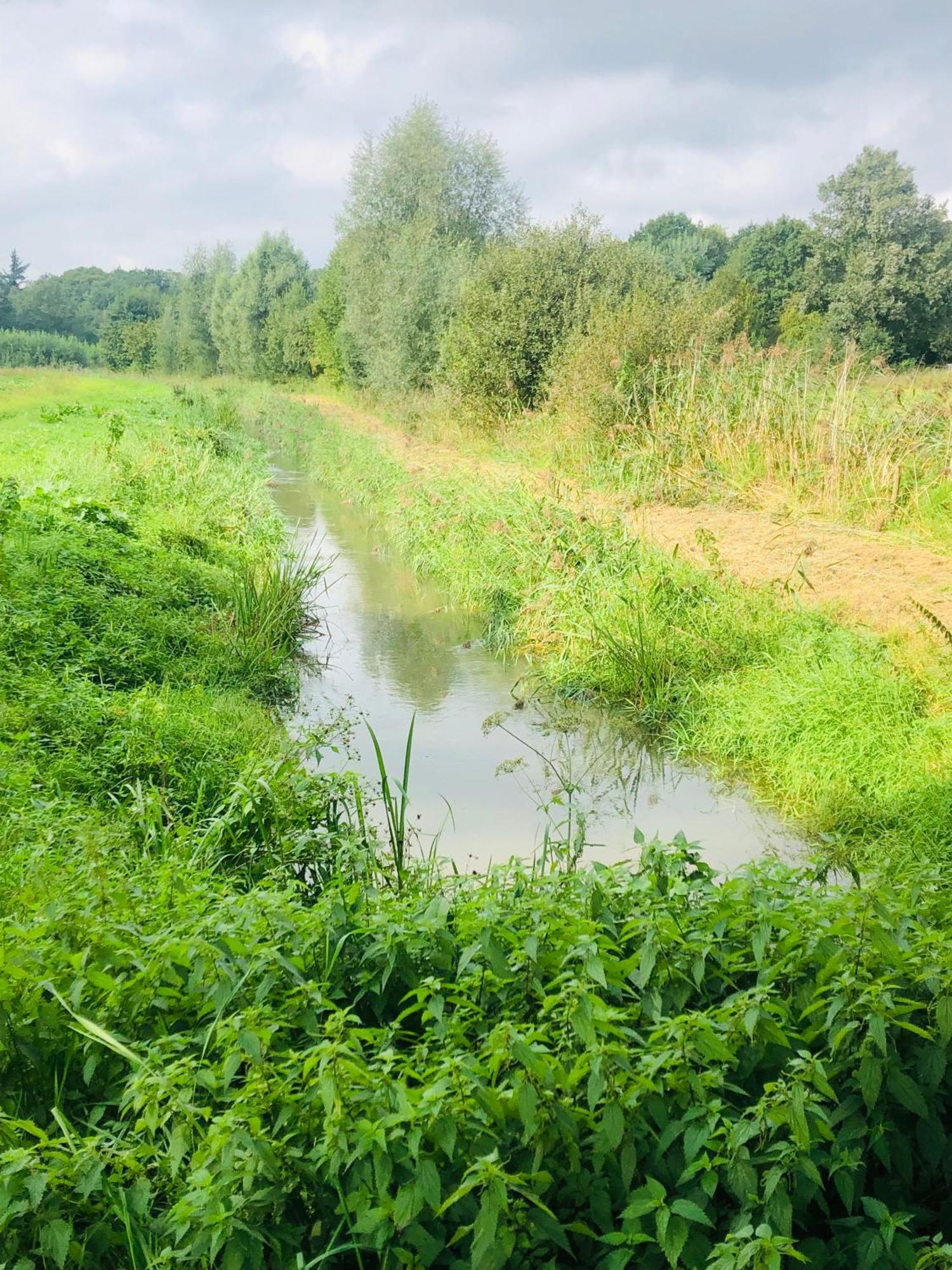 B &B Yuupke Maasbree Noord-Limburg Venlo Roermond Panzió Kültér fotó